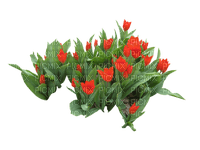 Blumen - безплатен png