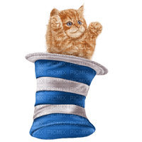 Kaz_Creations Cats Cat Kittens Kitten - бесплатно png