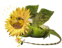 sunflower dragon frog flower - png ฟรี