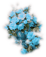 vase flower dubravka4 - фрее пнг
