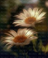 fond fleur - 無料png