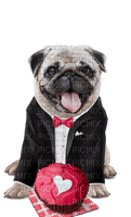valentine dog by nataliplus - png gratuito