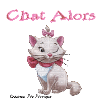 chat alors ! !! - Free animated GIF