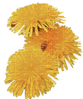 Kaz_Creations Deco Flowers Dandelion Flower - ücretsiz png