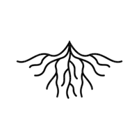 roots - png gratuito
