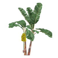 kikkapink tropical plant summer deco palm - 免费PNG