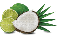 Kaz_Creations Fruit Lime Coconut - PNG gratuit