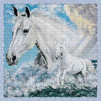 pferd horse milla1959 - Бесплатни анимирани ГИФ