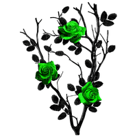 Gothic.Roses.Black.Green - PNG gratuit