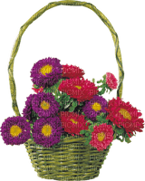 Bloemen en Planten - gratis png