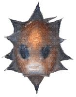 baby mola mola - 免费PNG