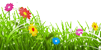 Y.A.M._Summer Flowers Decor - Безплатен анимиран GIF