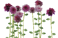Glitter-Purple Flowers. - Free animated GIF