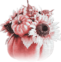 soave deco autumn tanksgiving flowers pumpkin pink - PNG gratuit