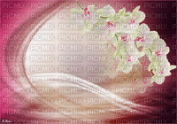 ani-bg-blommor-blomma - Ingyenes animált GIF
