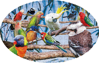 Australia birds bp - GIF animé gratuit