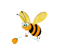 Bee - Δωρεάν κινούμενο GIF