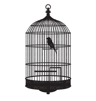 black cage, sunshine3 - kostenlos png