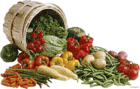 vegetables bp - 免费PNG