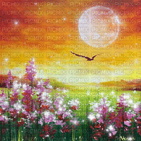 Y.A.M._Landscape moon background - GIF animado grátis