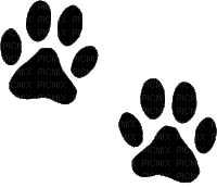 dog paw bp - Zdarma animovaný GIF
