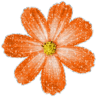 Orange Flower Glitter - Free animated GIF