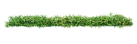 herbe - 無料png