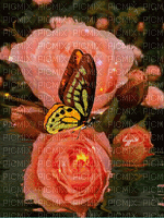 maj gif rose et papillon - GIF เคลื่อนไหวฟรี