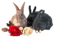rabbits by nataliplus - PNG gratuit