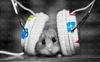 Hamster entrain d'écouter de la musique - png gratis