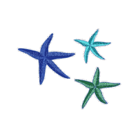 Starfish.Summer.Mer.Blue.Victoriabea