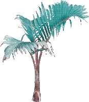 soave deco summer animated tropical tree palm - Ilmainen animoitu GIF