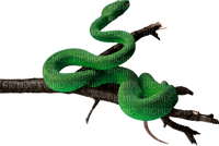 Serpent - безплатен png