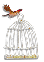 bird cage anastasia - zdarma png