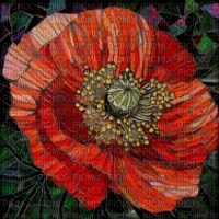 Poppy Mosaic jpg - Free PNG