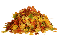 Pile of Leaves - 無料png