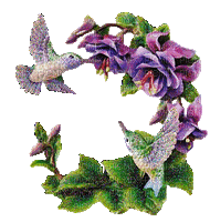 Flowers purple bp - 無料のアニメーション GIF