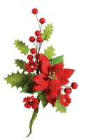 ✶ Christmas Ornament {by Merishy} ✶ - PNG gratuit