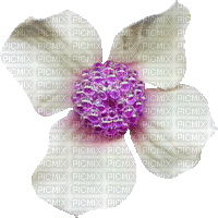 flower (created with gimp) - Ilmainen animoitu GIF