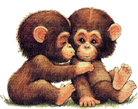monkey bp - GIF animado gratis