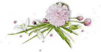 Spring Flowers - png gratuito