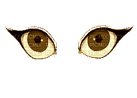 ani-öga-ögon - 免费动画 GIF