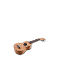 guitare.Cheyenne63 - png gratis