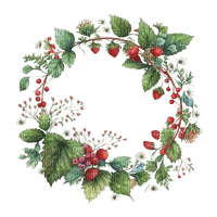 wild strawberry wreath Bb2 - zdarma png