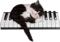 Chaton musical - 免费PNG