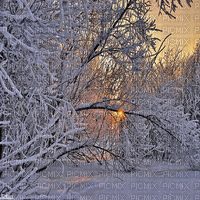 winter  background by nataliplus - GIF animé gratuit