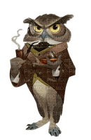 Eule, Owl - δωρεάν png