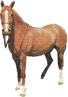 Cheval ** - Free PNG