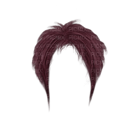 hair, wig bp - Free PNG