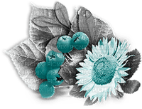 soave deco autumn flowers sunflowers branch - Free PNG